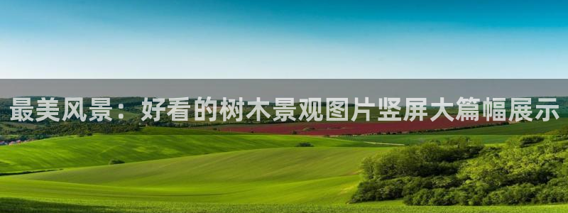 新宝gg招商致胜团队