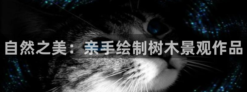 新宝gg奇迹