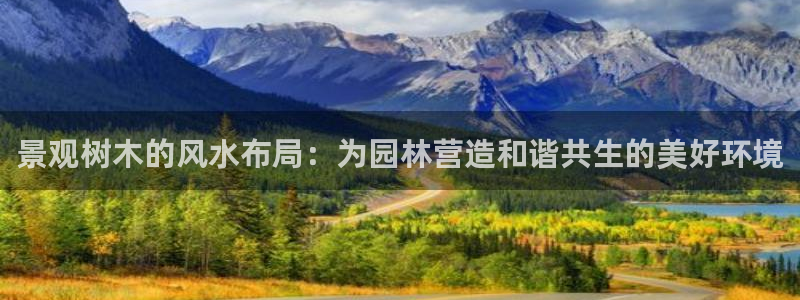 新宝gg创建奇迹：景观树木的风水布局：为园林营造和谐共生的美好环境