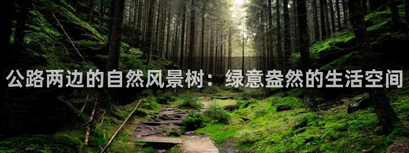 新宝GG手机客户端：公路两边的自然风景树：绿意盎然的生活空间