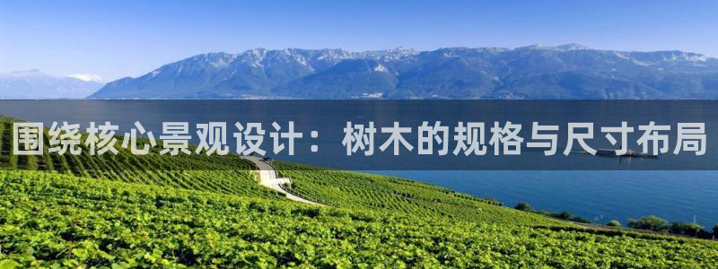 新宝GG湫33 300:围绕核心景观设计:树木的规格与尺寸布局